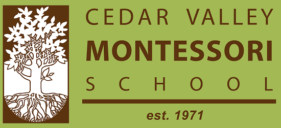 CVMS Logo
