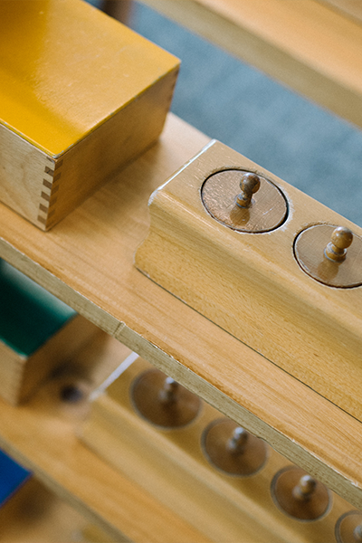 shelves thumbnail.png